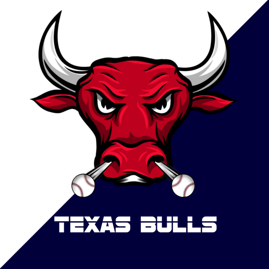 TEXAS BULLS BASEBALL
